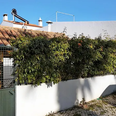Apartment Terrace